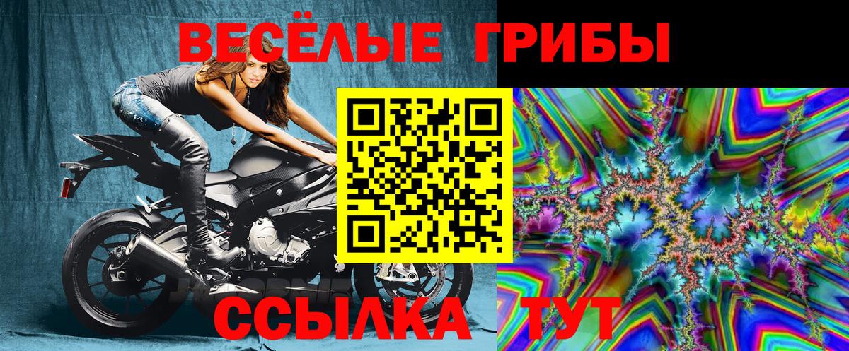 Галлюциногенные грибы мицелий Коркино